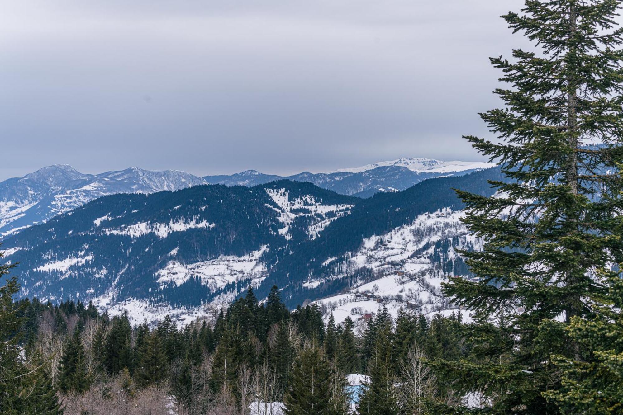 Forest Villa Goderdzi Exteriér fotografie