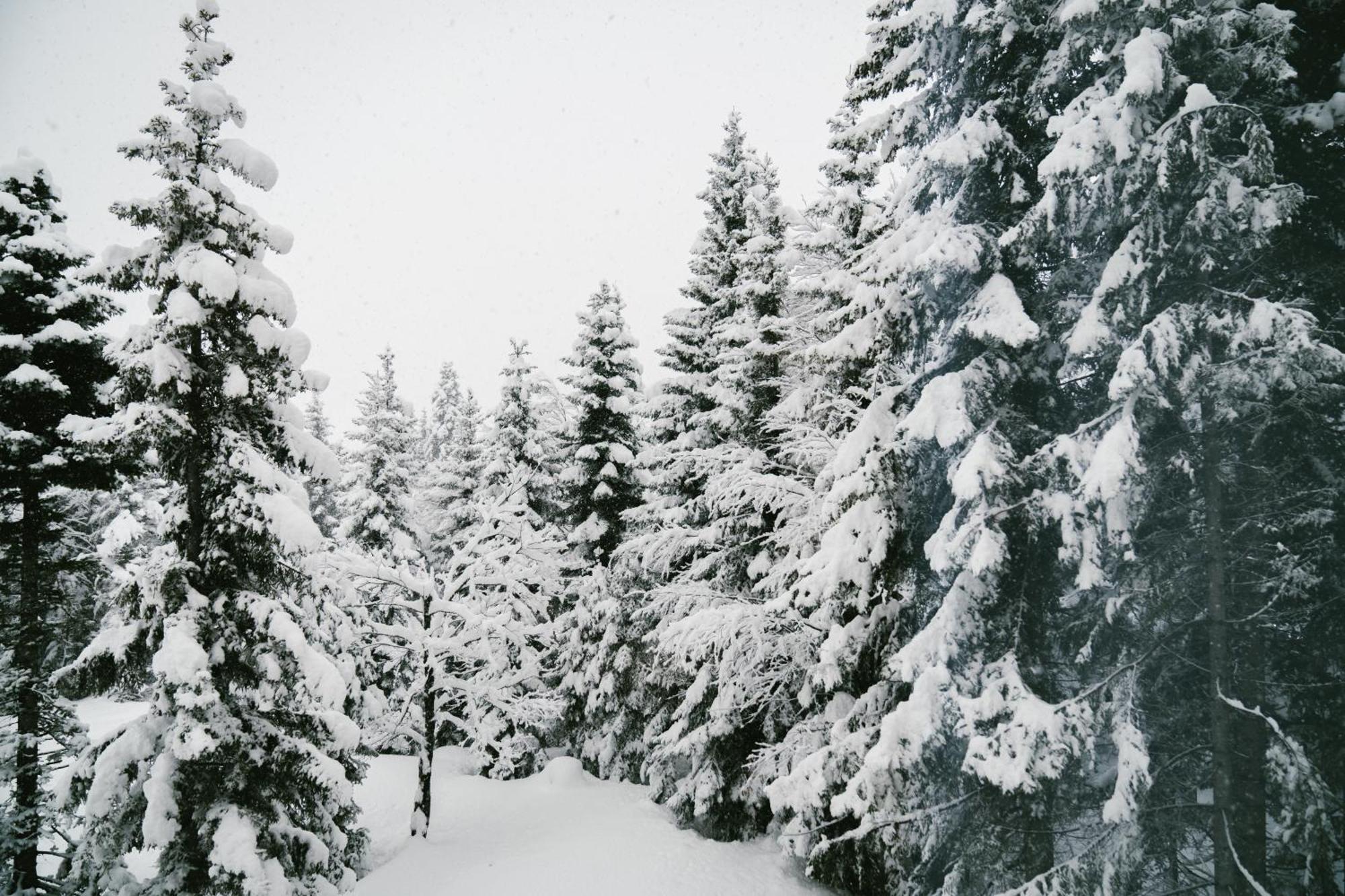 Forest Villa Goderdzi Exteriér fotografie