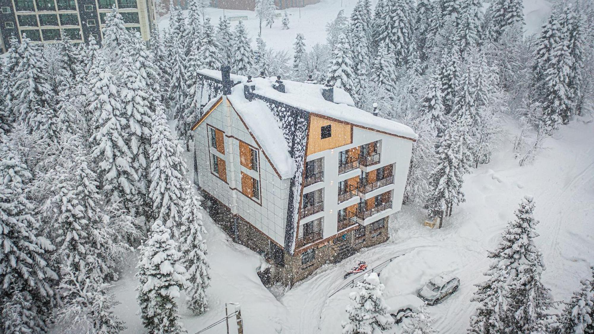 Forest Villa Goderdzi Exteriér fotografie