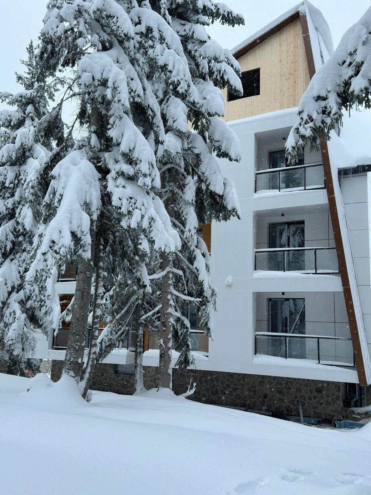 Forest Villa Goderdzi Exteriér fotografie