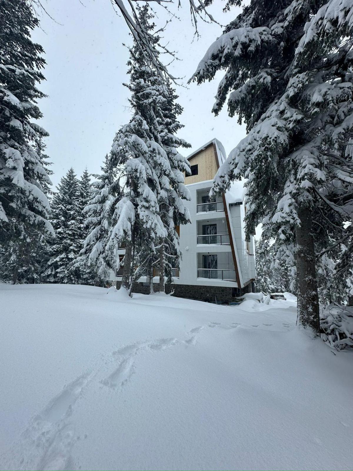 Forest Villa Goderdzi Exteriér fotografie